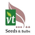 2017 VT logo white background